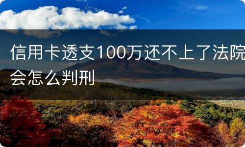 信用卡透支100万还不上了法院会怎么判刑