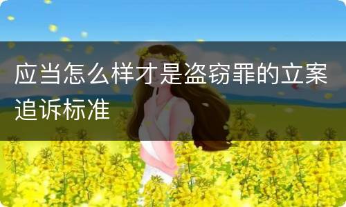 应当怎么样才是盗窃罪的立案追诉标准