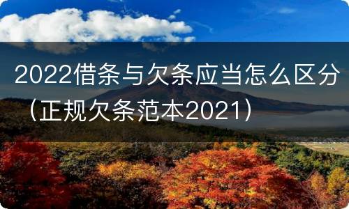 2022借条与欠条应当怎么区分（正规欠条范本2021）