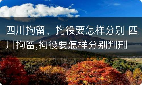 四川拘留、拘役要怎样分别 四川拘留,拘役要怎样分别判刑