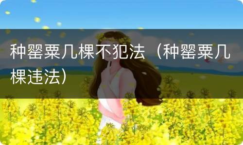 种罂粟几棵不犯法（种罂粟几棵违法）