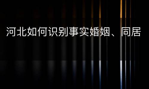 河北如何识别事实婚姻、同居