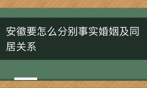 安徽要怎么分别事实婚姻及同居关系