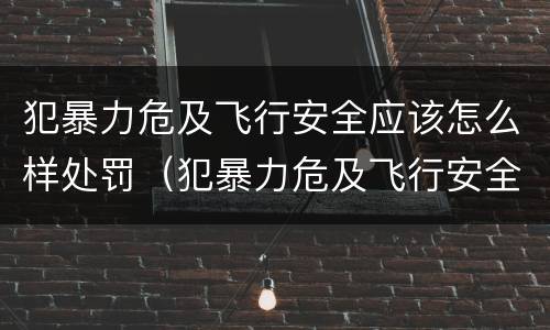 犯暴力危及飞行安全应该怎么样处罚（犯暴力危及飞行安全应该怎么样处罚他）