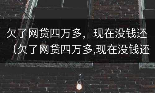 欠了网贷四万多，现在没钱还（欠了网贷四万多,现在没钱还了）