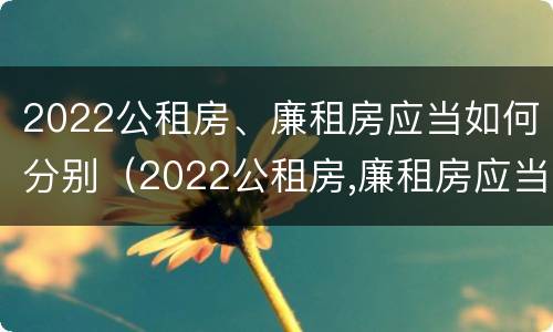 2022公租房、廉租房应当如何分别（2022公租房,廉租房应当如何分别管理）