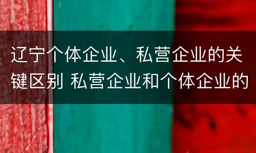 辽宁个体企业、私营企业的关键区别 私营企业和个体企业的区别