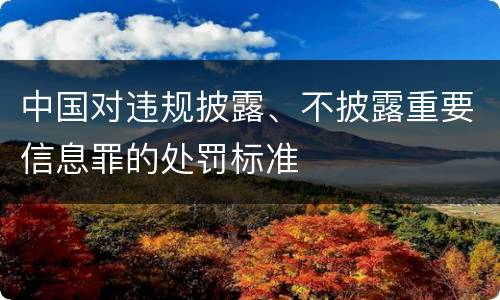 中国对违规披露、不披露重要信息罪的处罚标准