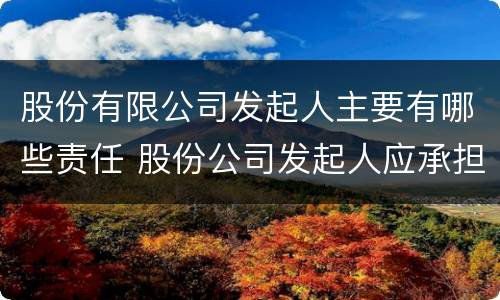 股份有限公司发起人主要有哪些责任 股份公司发起人应承担的责任是