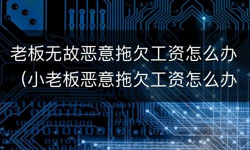 老板无故恶意拖欠工资怎么办（小老板恶意拖欠工资怎么办）