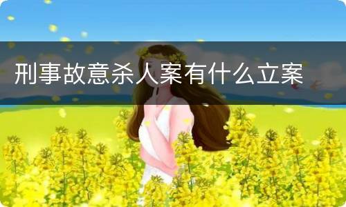刑事故意杀人案有什么立案