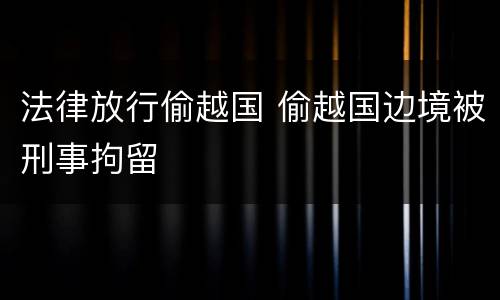法律放行偷越国 偷越国边境被刑事拘留