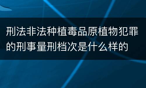 刑法非法种植毒品原植物犯罪的刑事量刑档次是什么样的
