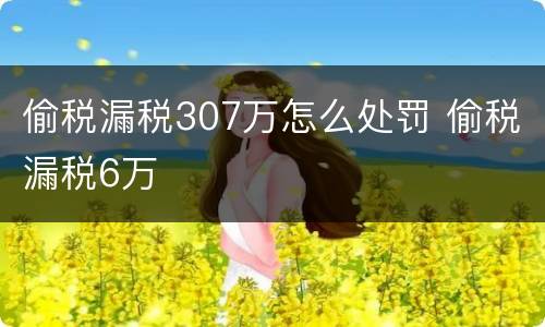 偷税漏税307万怎么处罚 偷税漏税6万