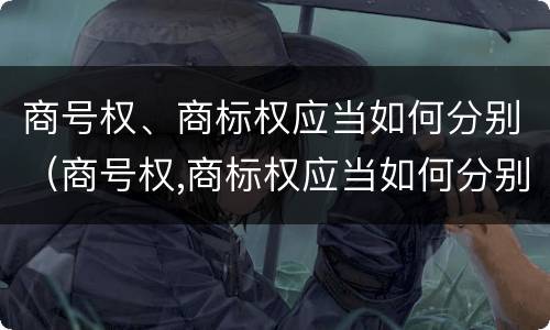 商号权、商标权应当如何分别（商号权,商标权应当如何分别确认）