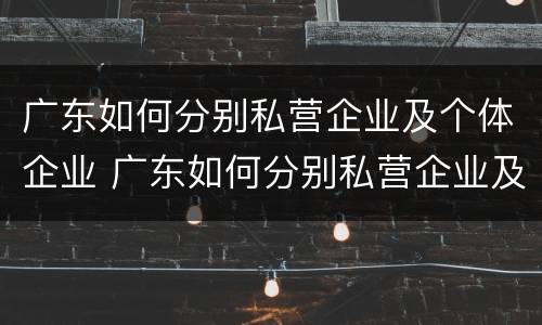 广东如何分别私营企业及个体企业 广东如何分别私营企业及个体企业和公司