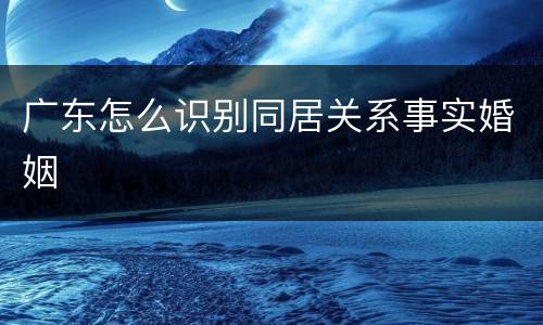 广东怎么识别同居关系事实婚姻