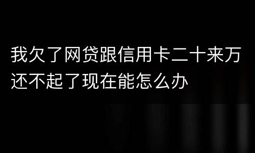 我欠了网贷跟信用卡二十来万还不起了现在能怎么办