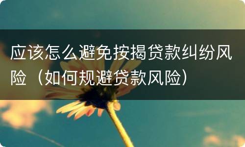 应该怎么避免按揭贷款纠纷风险（如何规避贷款风险）