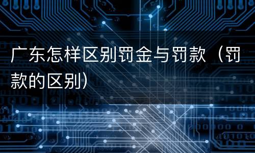 广东怎样区别罚金与罚款（罚款的区别）