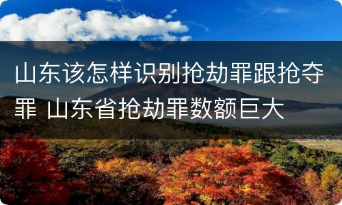 山东该怎样识别抢劫罪跟抢夺罪 山东省抢劫罪数额巨大