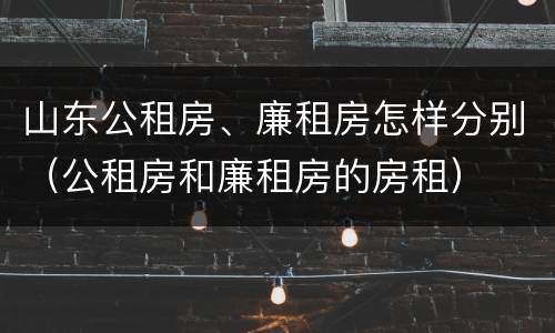 山东公租房、廉租房怎样分别（公租房和廉租房的房租）