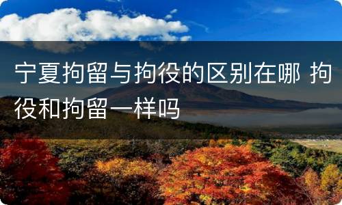 宁夏拘留与拘役的区别在哪 拘役和拘留一样吗