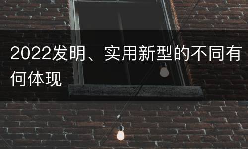 2022发明、实用新型的不同有何体现