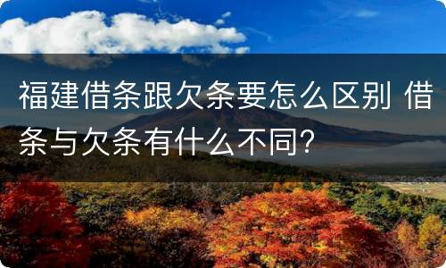 福建借条跟欠条要怎么区别 借条与欠条有什么不同?