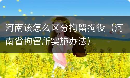 河南该怎么区分拘留拘役（河南省拘留所实施办法）