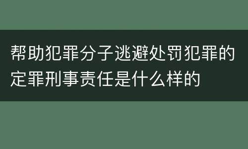 帮助犯罪分子逃避处罚犯罪的定罪刑事责任是什么样的