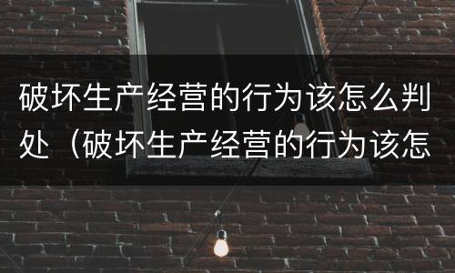 破坏生产经营的行为该怎么判处（破坏生产经营的行为该怎么判处呢）