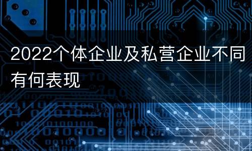 2022个体企业及私营企业不同有何表现
