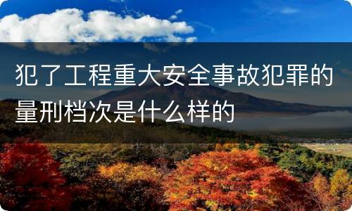 犯了工程重大安全事故犯罪的量刑档次是什么样的