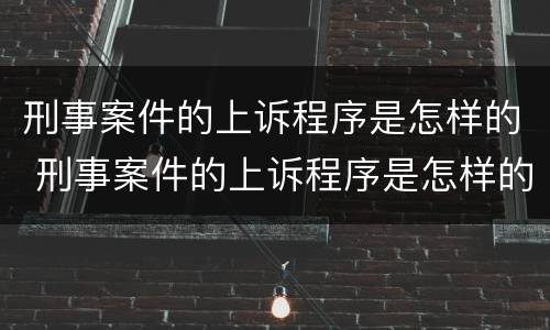 刑事案件的上诉程序是怎样的 刑事案件的上诉程序是怎样的规定