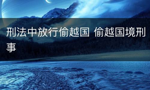刑法中放行偷越国 偷越国境刑事