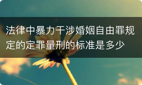 法律中暴力干涉婚姻自由罪规定的定罪量刑的标准是多少