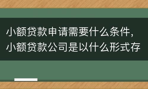 小额贷款申请需要什么条件，小额贷款公司是以什么形式存在的