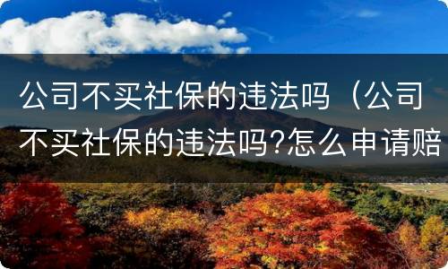 公司不买社保的违法吗（公司不买社保的违法吗?怎么申请赔偿）