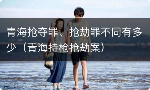 青海抢夺罪、抢劫罪不同有多少（青海持枪抢劫案）