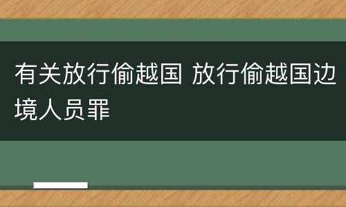 有关放行偷越国 放行偷越国边境人员罪