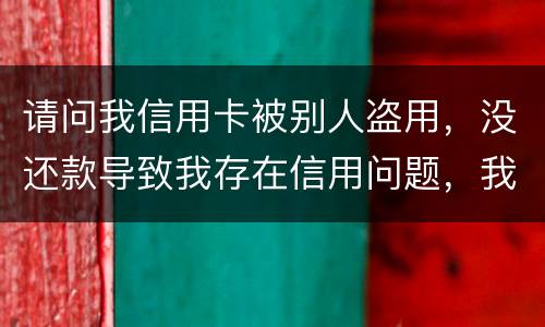 请问我信用卡被别人盗用，没还款导致我存在信用问题，我该怎么办