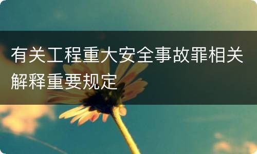 有关工程重大安全事故罪相关解释重要规定