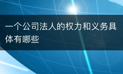一个公司法人的权力和义务具体有哪些