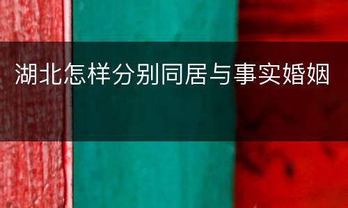 湖北怎样分别同居与事实婚姻