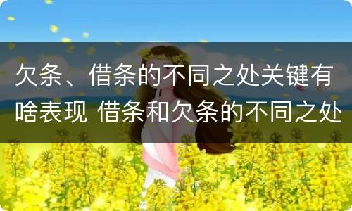 欠条、借条的不同之处关键有啥表现 借条和欠条的不同之处