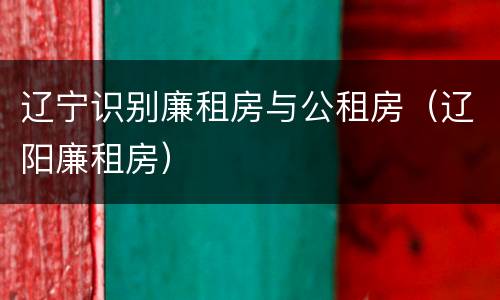 辽宁识别廉租房与公租房（辽阳廉租房）