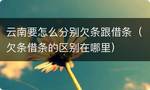 云南要怎么分别欠条跟借条（欠条借条的区别在哪里）