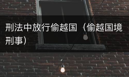 刑法中放行偷越国（偷越国境刑事）