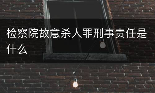 检察院故意杀人罪刑事责任是什么